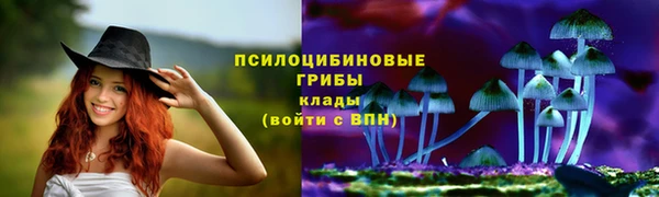 таблы Сясьстрой