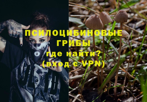 таблы Сясьстрой